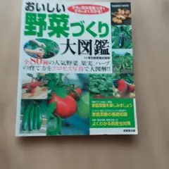 Item thumbnail for item b9853044-fe56-4f35-ab3e-90ab3dc67f2a