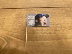 【まだ見ぬ景色をエスコンで】水谷瞬×水野達稀　爪楊枝フラッグ