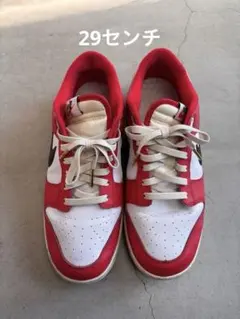 Nike Dunk Low Retro PRM 