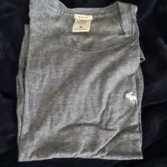 Abercrombie & Fitch MUSCLE Tシャツ Mサイズ グレー