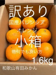 訳あり 小箱 L 1.6kg 国産バレンシアオレンジ/箱何でも良い方用のサムネイル