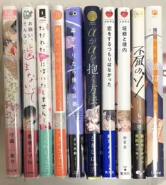 BL漫画 まとめ売り １0冊セット‼️