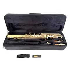 2026年最新】mavisサックスの人気アイテム - メルカリ