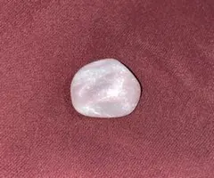 Item thumbnail for item 471c163a-fcfc-4111-bff5-fa43322431e0