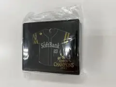 Item thumbnail for item d4c1b510-84c0-4dbc-a242-fb13f805752c