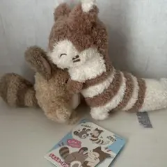 ポケモン　むぎゅ！ぬいぐるみ　オタチ&オオタチ