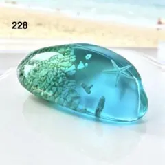 228 つやつや海のかけらストーン 天然ヒトデ