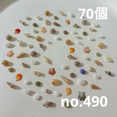 no.490 ウニ殻と天然ミニ貝殻 セット