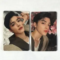 &TEAM 雪明かり マキ MAKI 2枚セット トレカ