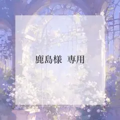 プレインシート　専用