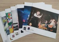 ミセスグリーンアップル10thBOX　 LPサイズフォトポスター 19枚