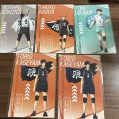 ハイキュープラザ　購入特典 ポストカード