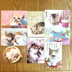 【組み合わせ自由】　猫のポストカード　7枚セット　D