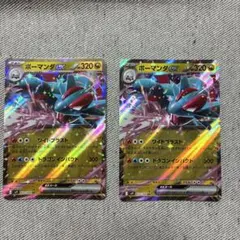 ポケモンカード ボーマンダex 2枚セットのサムネイル
