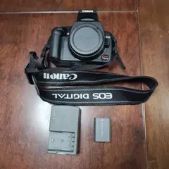 Item thumbnail for item fa0f48c2-7139-4499-9fa3-6bf1ca5c7cf6