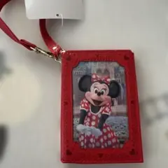 ディズニー　ミニー　実写　パスケース