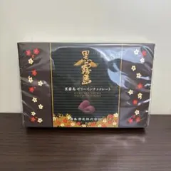 大阪お土産 大阪心斎橋ベイクドキャラメル(12個入り) - メルカリ