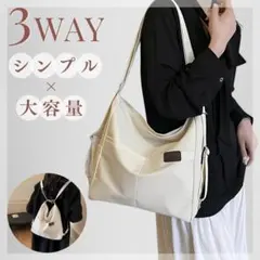 Item thumbnail for item 7d196a0c-0d0b-4a7a-9be3-af1792e89c1e