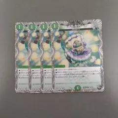 ベイビーセガーレ　ベイbセガーレ　4枚