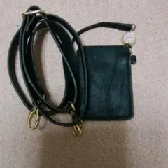 パサージュミニョン　バッグ　パスケース付きベルト