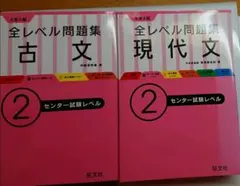 大学入試 全レベル問題集 現代文 2 センター試験レベル