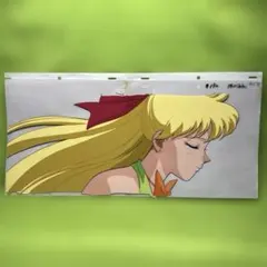 美少女戦士セーラームーン 大判セル画 愛野美奈子