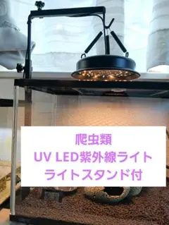 파충류 UV LED 라이트 자외선