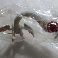 Item thumbnail for item 88c0b736-2ac8-43c6-91f7-12714223228e