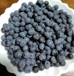 ブルーベリー　200g 朝採りのサムネイル