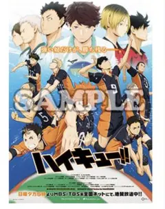 【非売品】ハイキュー B2 ポスター BD予約特典