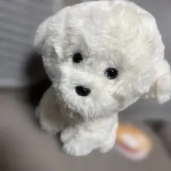 犬 イヌ いぬ ぬいぐるみ さみしがりやのビションフリーゼ