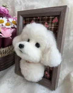 2026年最新】マルプー ぬいぐるみの人気アイテム - メルカリ