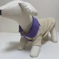 犬服 ポロシャツスタイル 紫と黄色のストライプ　Mサイズ