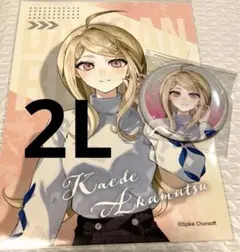 2026年最新】赤松楓の人気アイテム - メルカリ