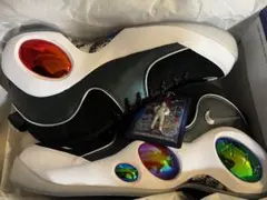 Nike Air Zoom Flight 95 *30センチ