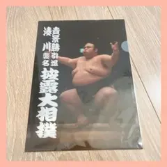 大相撲 湊川襲名披露 貴景勝 断髪式 引退相撲 クリアファイル ファイル 限定