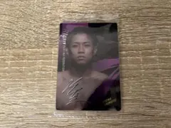 Item thumbnail for item 304f18df-480d-43c5-b9ee-e918b8d0e7f7