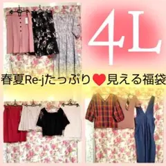 ⭐限定価格⭐Re-jたっぷり10点入りの4Lさん向け♡春夏見える福袋