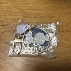 PEANUTS SNOOPY メタルチャーム