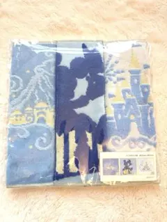 【新品/未使用】ディズニーバケーションパッケージ タオルセット【限定品】