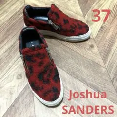 2026年最新】Joshua SANDERSの人気アイテム - メルカリ