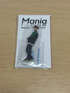 Snow Man 渡辺翔太 アクリルスタンド Mania