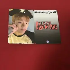 WHIB トレカ　ジェイダー