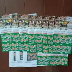 ゼスプリ Zespri キウイブラザーズ 応募券 フィギュア 懸賞 300枚以上