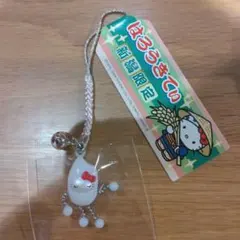 【新品未使用タグ付き】ご当地キティ ハローキティ 新潟限定 米 コメ こしひかり
