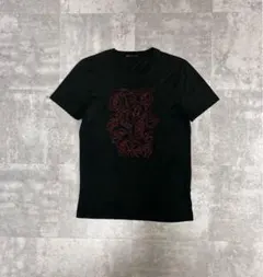 ディオールオム Tシャツ dior homme エディスリマン ディオールオム Tシャツ dior homme エディスリマン Dior by