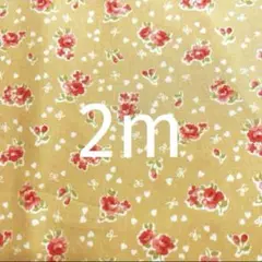 花柄生地2m
