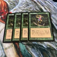 《猫族の精鋭戦士/Elite Cat Warrior》　日本語　4枚