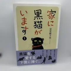 家に黒猫がいます 1