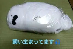 おすましあざらし　ぬいぐるみ